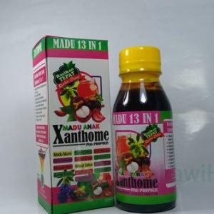 Xhantome 13in1